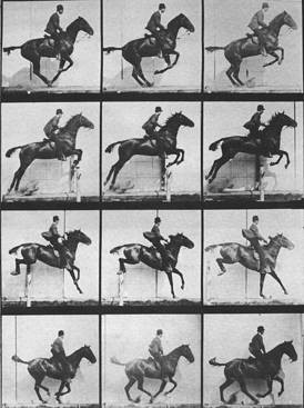 Eadweard Muybridge, 'Sequence of a Horse Jumping', 1904